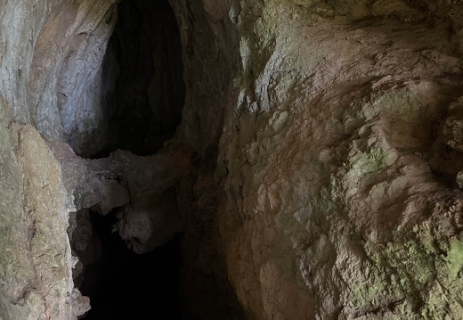 22-10-14 13-06-28 2954